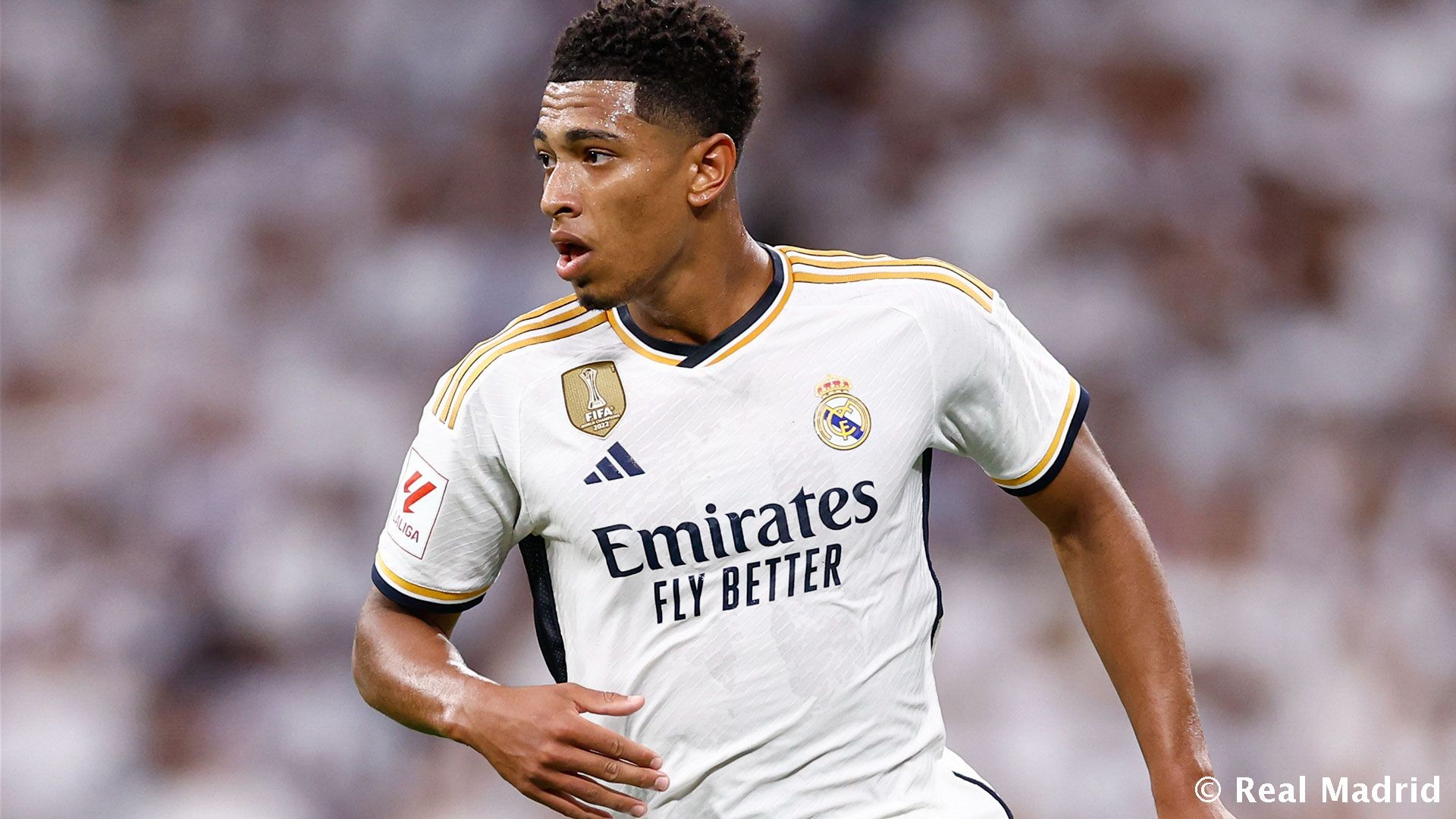 中甲战报：丹克莱尔1射1传，石家庄功夫2-2战平大连鲲城（中甲战报：丹克莱尔传射建功，石家庄功夫2-2与大连鲲城言和）